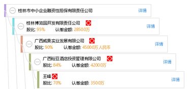 桂林市中小企業(yè)融資性擔保有限責任公司
